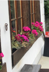 Aussenbereich Jules Schmitte