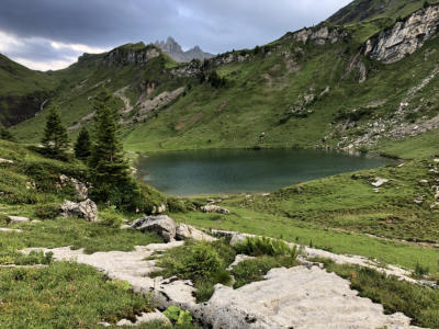 Lobh�rner und Sulseeli